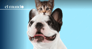 Pet insurance law changes take effect starting January 1