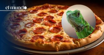 Iguana pizza goes viral in Florida: restaurant considers adding it to the menu