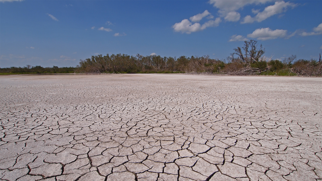 South Florida Drought Causes Water Shortages and Soil Moisture Decline