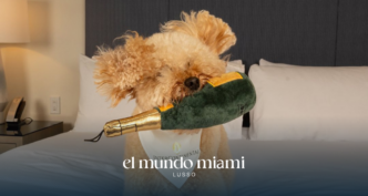 When and where will the Paws Patio Food Fest 2026 be held?