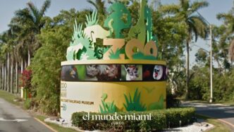 Free Trees Zoo Miami 2026: Get Yours Sunday
